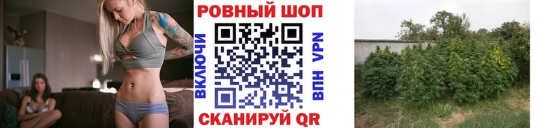 Купить наркоту Волгореченск ГАШИШ  Alpha-PVP  МЕФ  Псилоцибиновые грибы  Cocaine  кракен вход  Канабис 