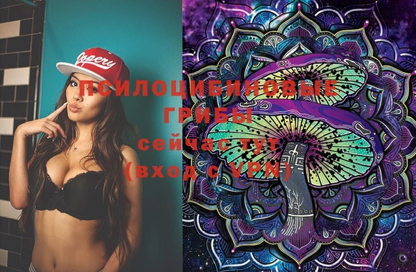 apvp Белоозёрский