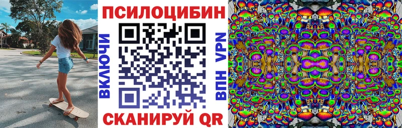 Псилоцибиновые грибы GOLDEN TEACHER  darknet состав  Волгореченск  МЕГА ONION 