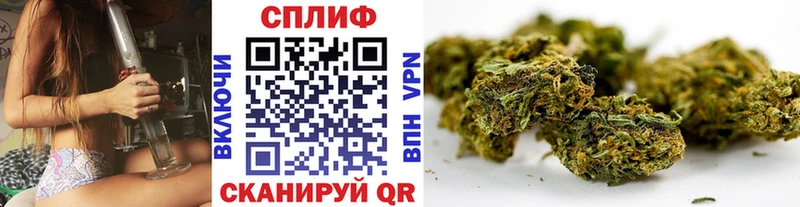 где продают наркотики  мега ссылка  Шишки марихуана OG Kush  Волгореченск 